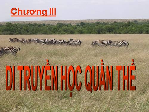 Bài 16. Cấu trúc di truyền của quần thể