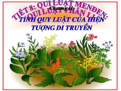 Bài 8. Quy luật Menđen: Quy luật phân li