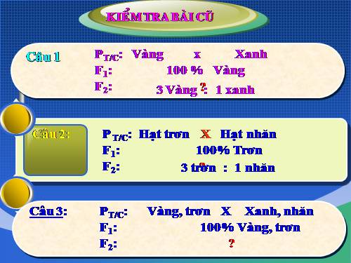 Bài 9. Quy luật Menđen: Quy luật phân li độc lập