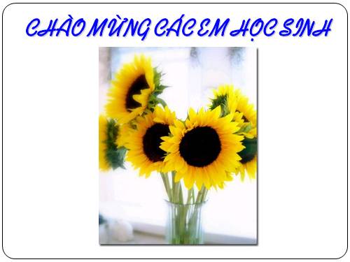 Bài 3. Điều hoà hoạt động gen