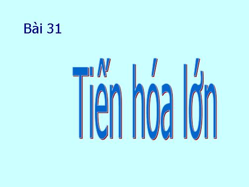 Bài 31. Tiến hoá lớn