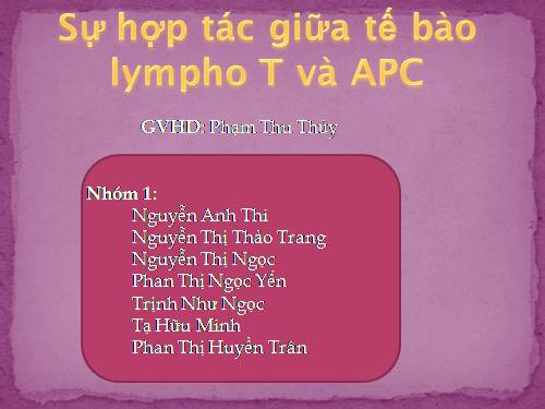 sự hợp tác giữa tế bào lympho T và APC