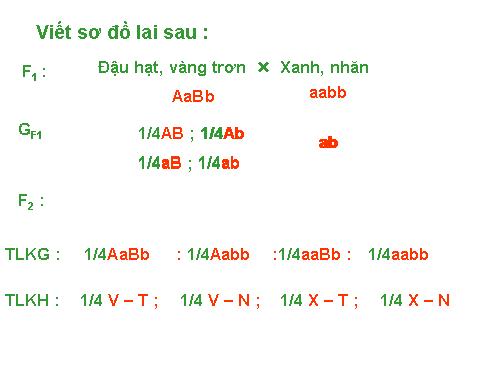 Bài 11. Liên kết gen và hoán vị gen