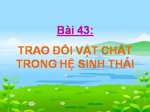 Bài 43. Trao đổi vật chất trong hệ sinh thái