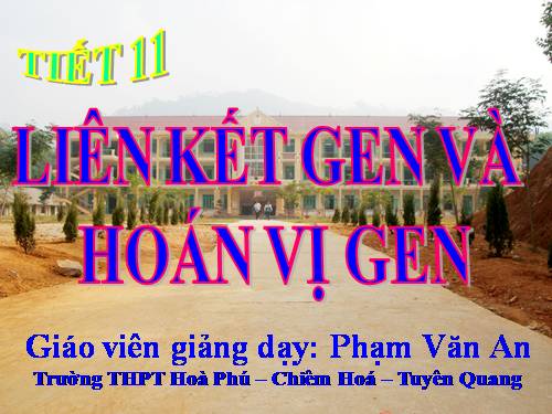 Bài 11. Liên kết gen và hoán vị gen