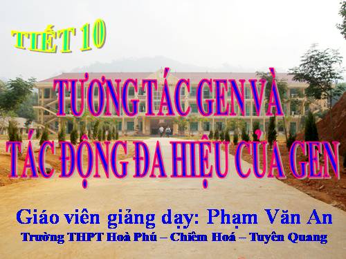 Bài 10. Tương tác gen và tác động đa hiệu của gen