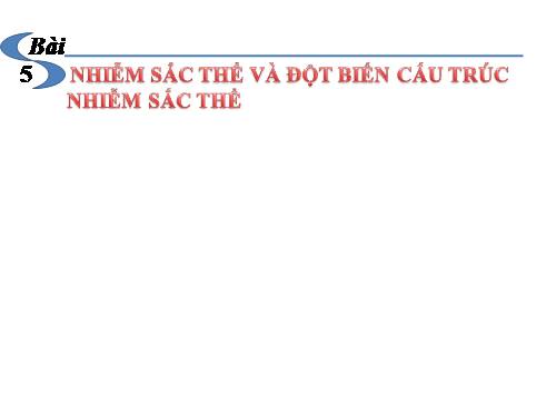 Bài 5. Nhiễm sắc thể và đột biến cấu trúc nhiễm sắc thể