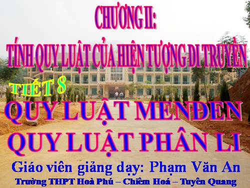 Bài 8. Quy luật Menđen: Quy luật phân li