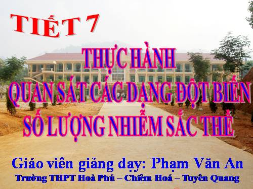 Bài 7. Thực hành: Quan sát các dạng đột biến số lượng nhiễm sắc thể trên tiêu bản cố định và trên tiêu bản tạm thời