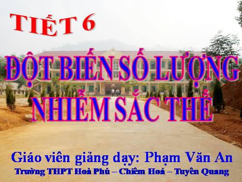 Bài 6. Đột biến số lượng nhiễm sắc thể