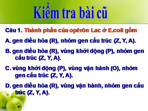 Bài 4. Đột biến gen