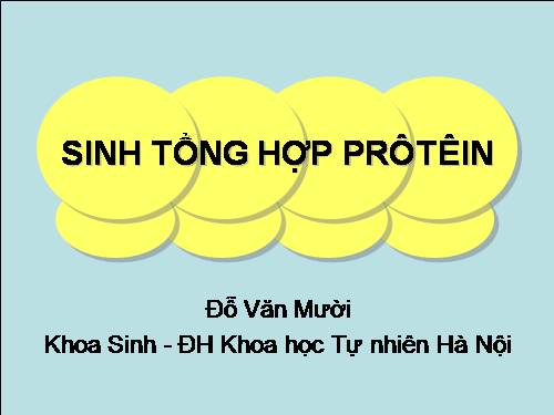 Sinh tổng hợp prôtêin