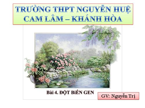 Bài 4. Đột biến gen