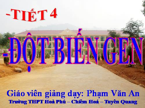 Bài 4. Đột biến gen