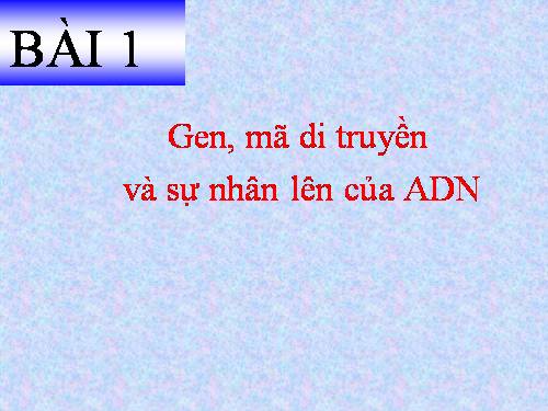 Bài 1. Gen, mã di truyền và quá trình nhân đôi ADN