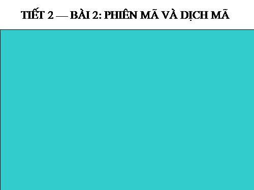 Bài 2. Phiên mã và dịch mã