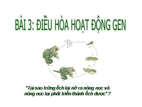 Bài 3. Điều hoà hoạt động gen