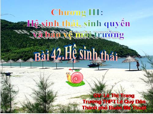 Bài 42. Hệ sinh thái