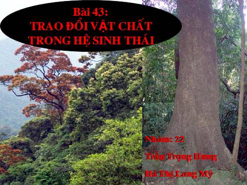 Bài 43. Trao đổi vật chất trong hệ sinh thái