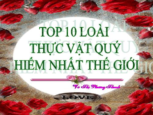 TOP 10 LOÀI THỰC VẬT QUÝ HIẾM NHẤT THẾ GIỚI