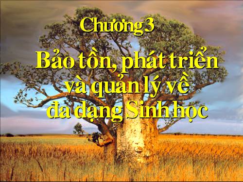 Chuong 3 - GD môi trường