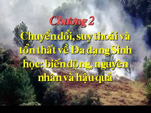 Chuong 2 - GD môi trường