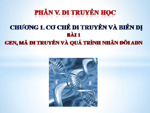 Bài 1. Gen, mã di truyền và quá trình nhân đôi ADN