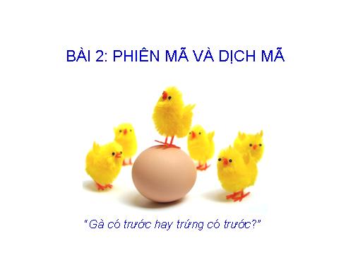 Bài 2. Phiên mã và dịch mã