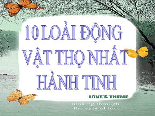 10LOÀI ĐỘNG VẬT THỌ NHẤT HÀNH TINH