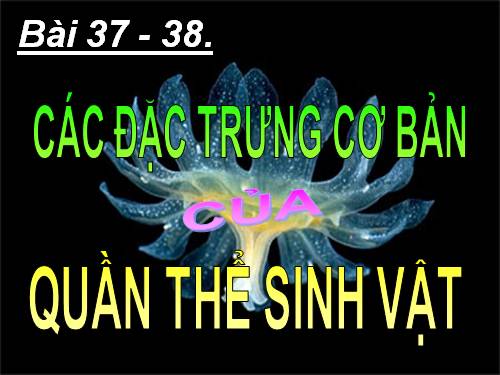 Bài 37. Các đặc trưng cơ bản của quần thể sinh vật