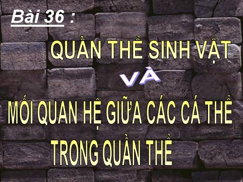 Bài 36. Quần thể sinh vật và mối quan hệ giữa các cá thể trong quần thể