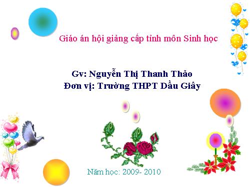 Bài 38. Các đặc trưng cơ bản của quần thể sinh vật (tiếp theo)