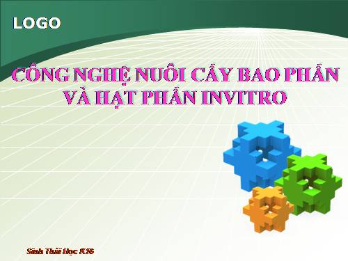 nuôi cấy bao phấn và hạt phấn