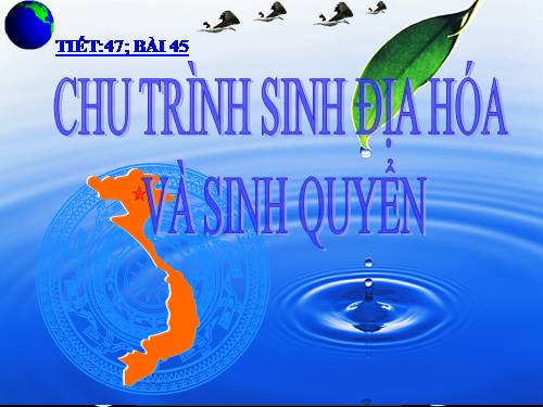 Bài 44. Chu trình sinh địa hóa và sinh quyển