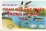 Bài 43. Trao đổi vật chất trong hệ sinh thái