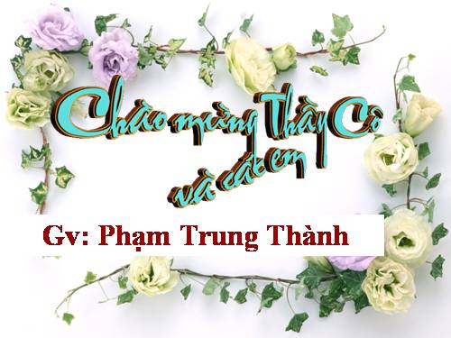 Bài 43. Trao đổi vật chất trong hệ sinh thái