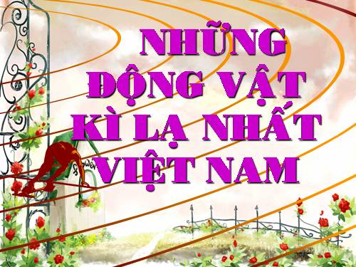 NHỮNG ĐỘNG VẬT KÌ LẠ NHẤT VIỆT NAM