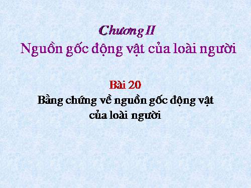 Bài 24. Các bằng chứng tiến hoá