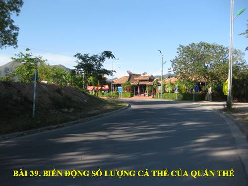 Bài 39. Biến động số lượng cá thể của quần thể sinh vật