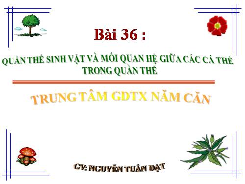 Bài 36. Quần thể sinh vật và mối quan hệ giữa các cá thể trong quần thể