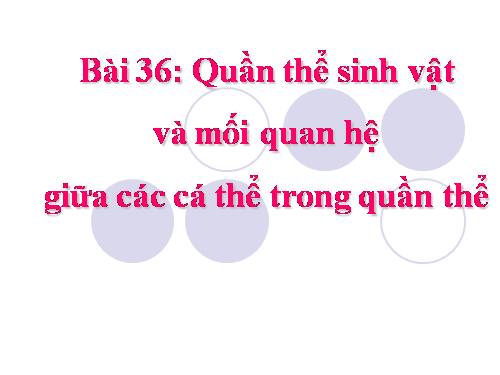 Bài 36. Quần thể sinh vật và mối quan hệ giữa các cá thể trong quần thể