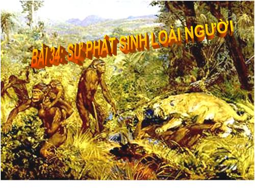 Bài 34. Sự phát sinh loài người