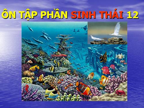 ÔN TẬP PHẦN SINH THÁI 12