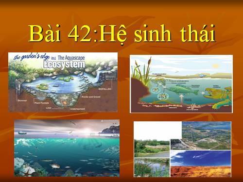 Bài 42. Hệ sinh thái