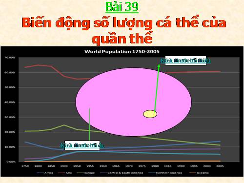 Bài 39. Biến động số lượng cá thể của quần thể sinh vật