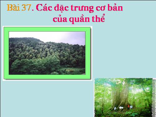 Bài 37. Các đặc trưng cơ bản của quần thể sinh vật