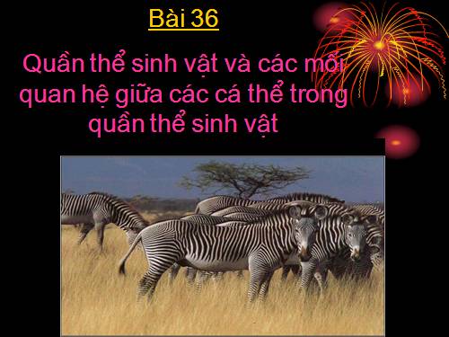 Bài 36. Quần thể sinh vật và mối quan hệ giữa các cá thể trong quần thể