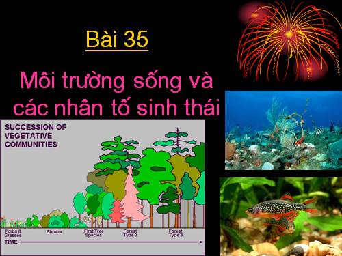 Bài 35. Môi trường sống và các nhân tố sinh thái