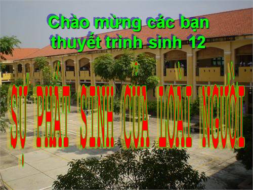 Bài 34. Sự phát sinh loài người