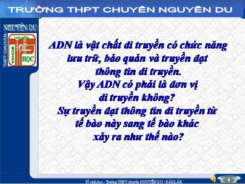 Bài 1. Gen, mã di truyền và quá trình nhân đôi ADN